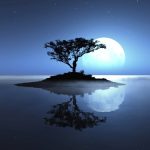 tree and moon