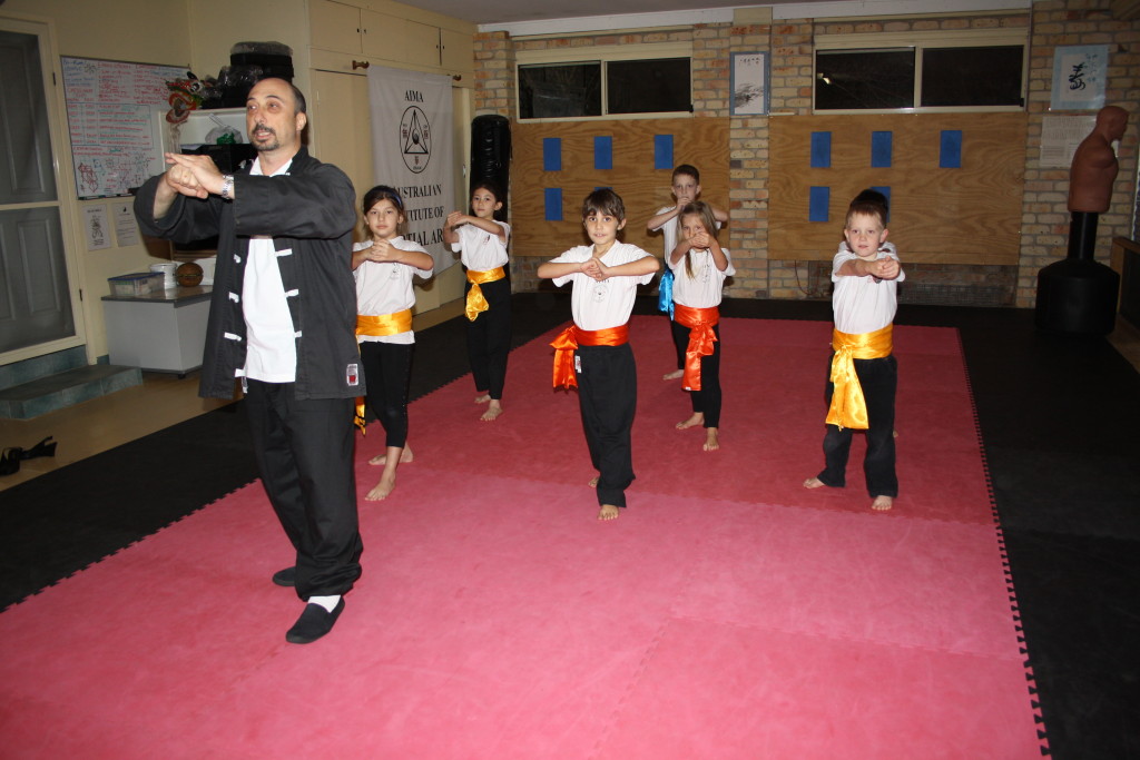 Kids Kung fu class